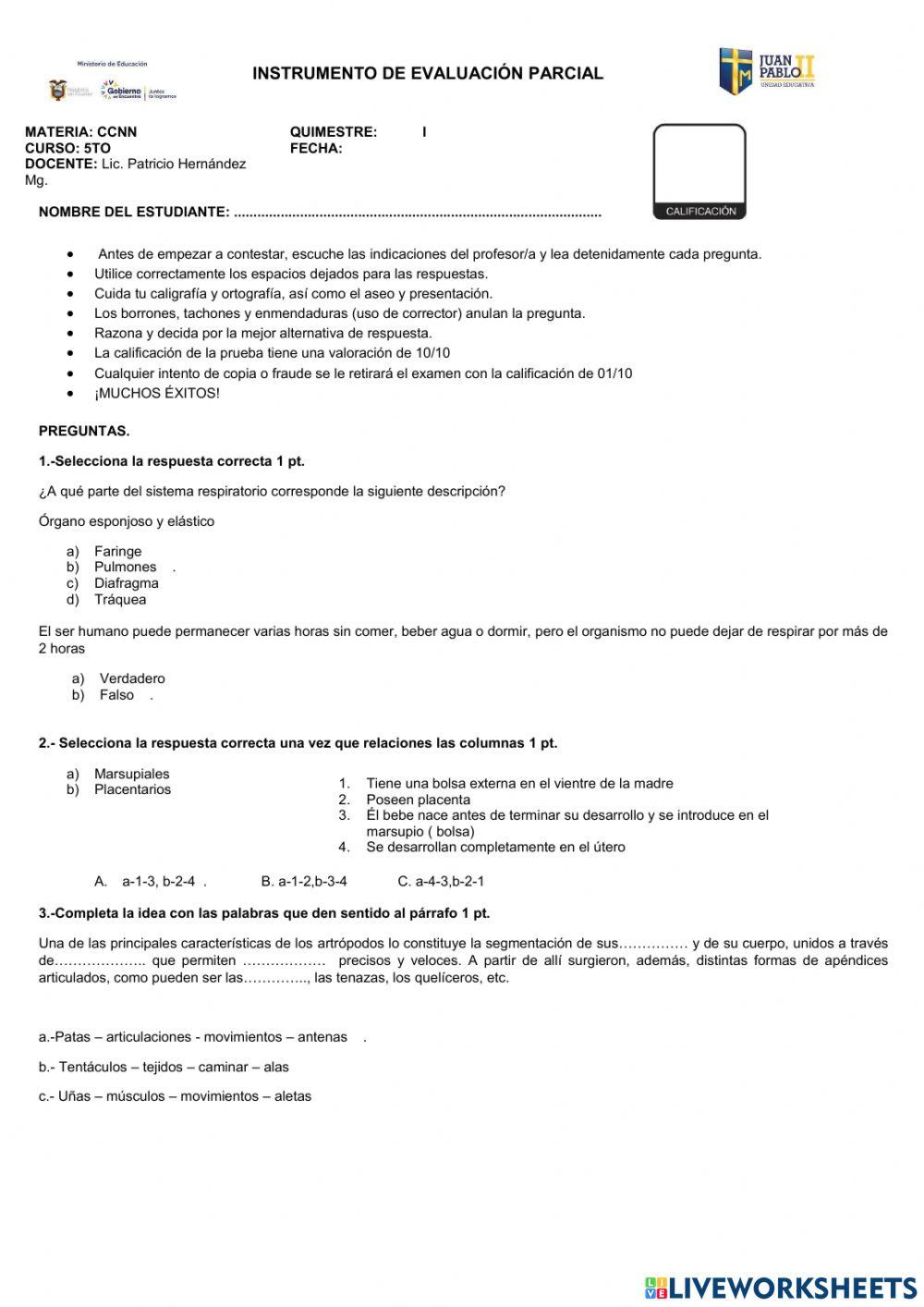 Evaluación Quimestral CCNN 2022