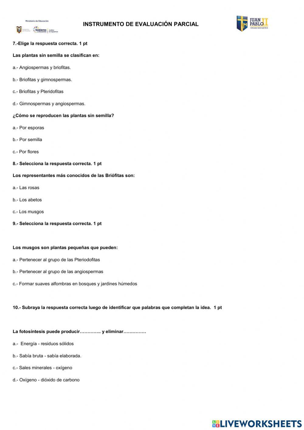 Evaluación Quimestral CCNN 2022