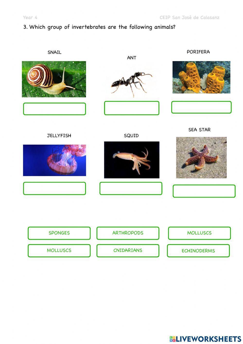 Unit 4. living beings