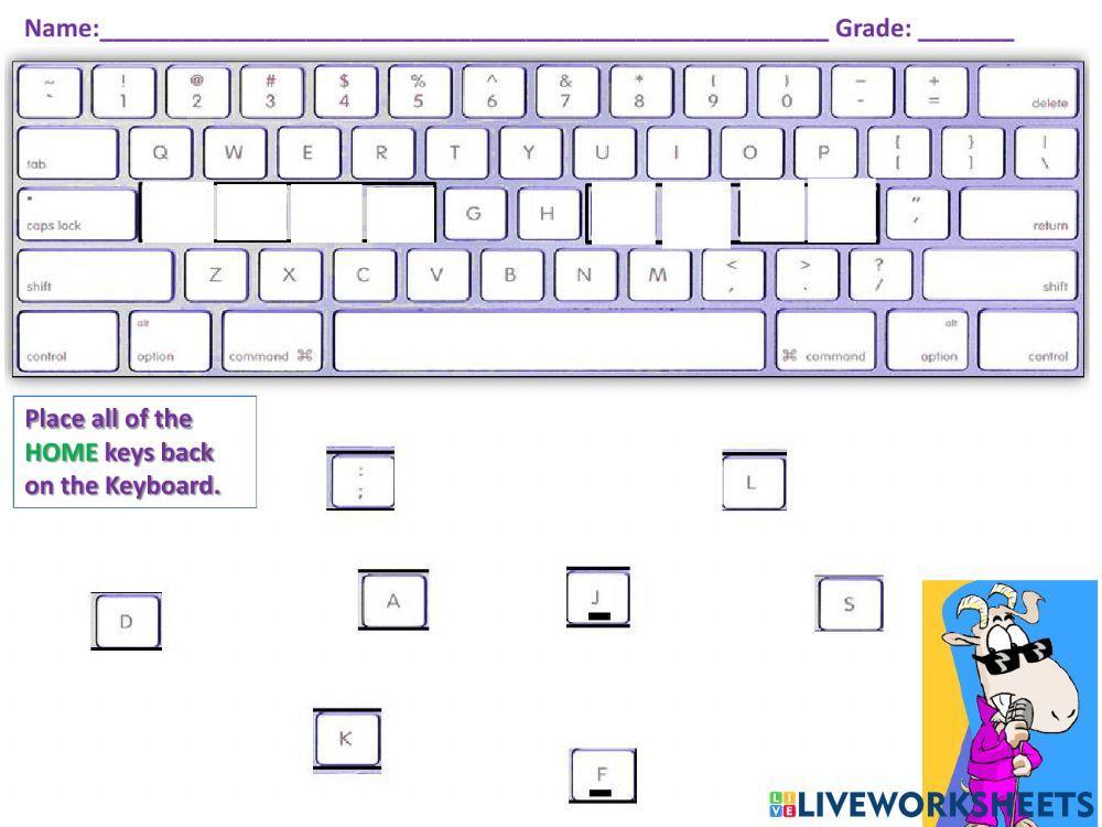Place home Keys in the Correct Positions on the Keyboard Place home Keys in the Correct Positions on the Keyboard
