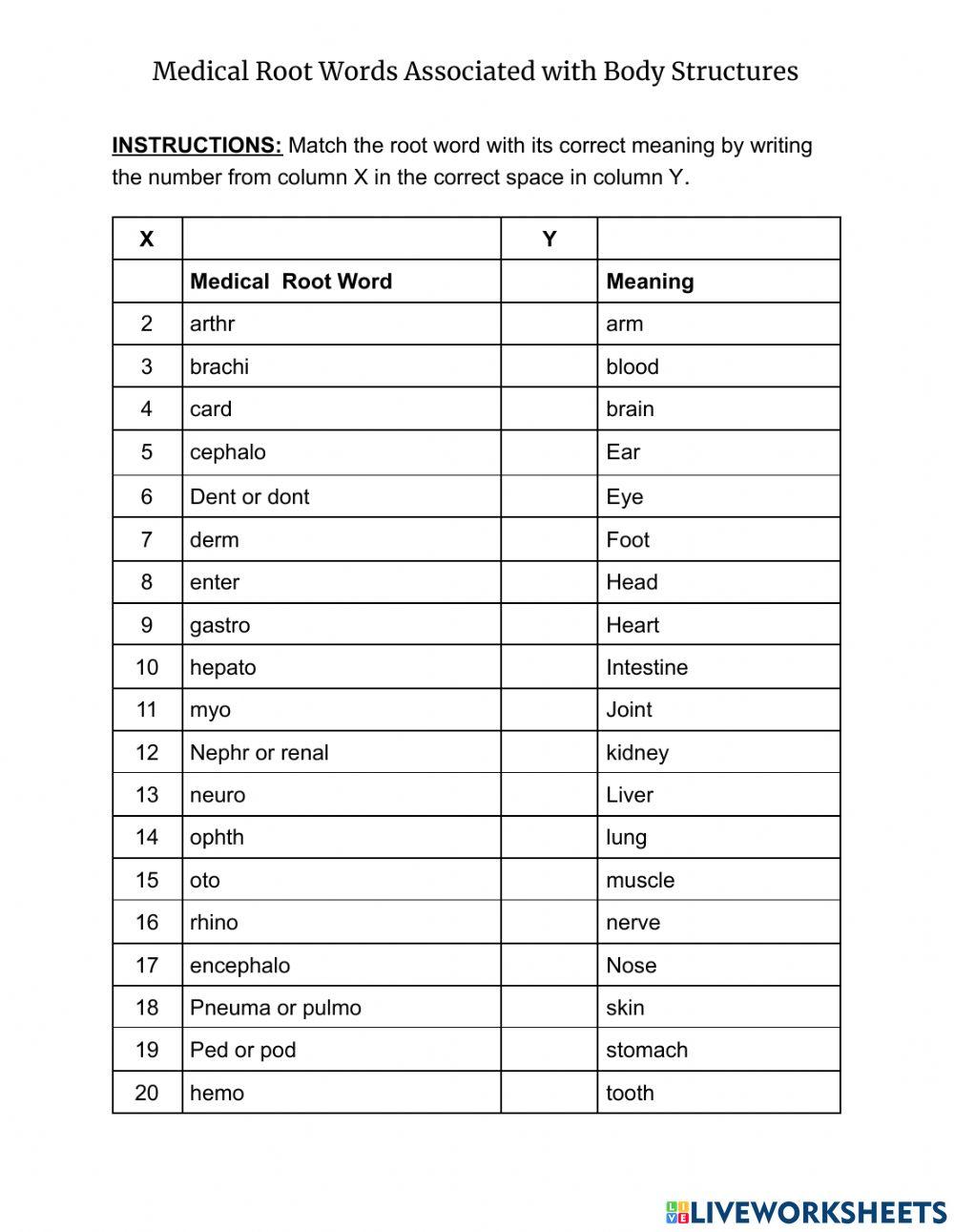Medical Root Words related to Body Structures