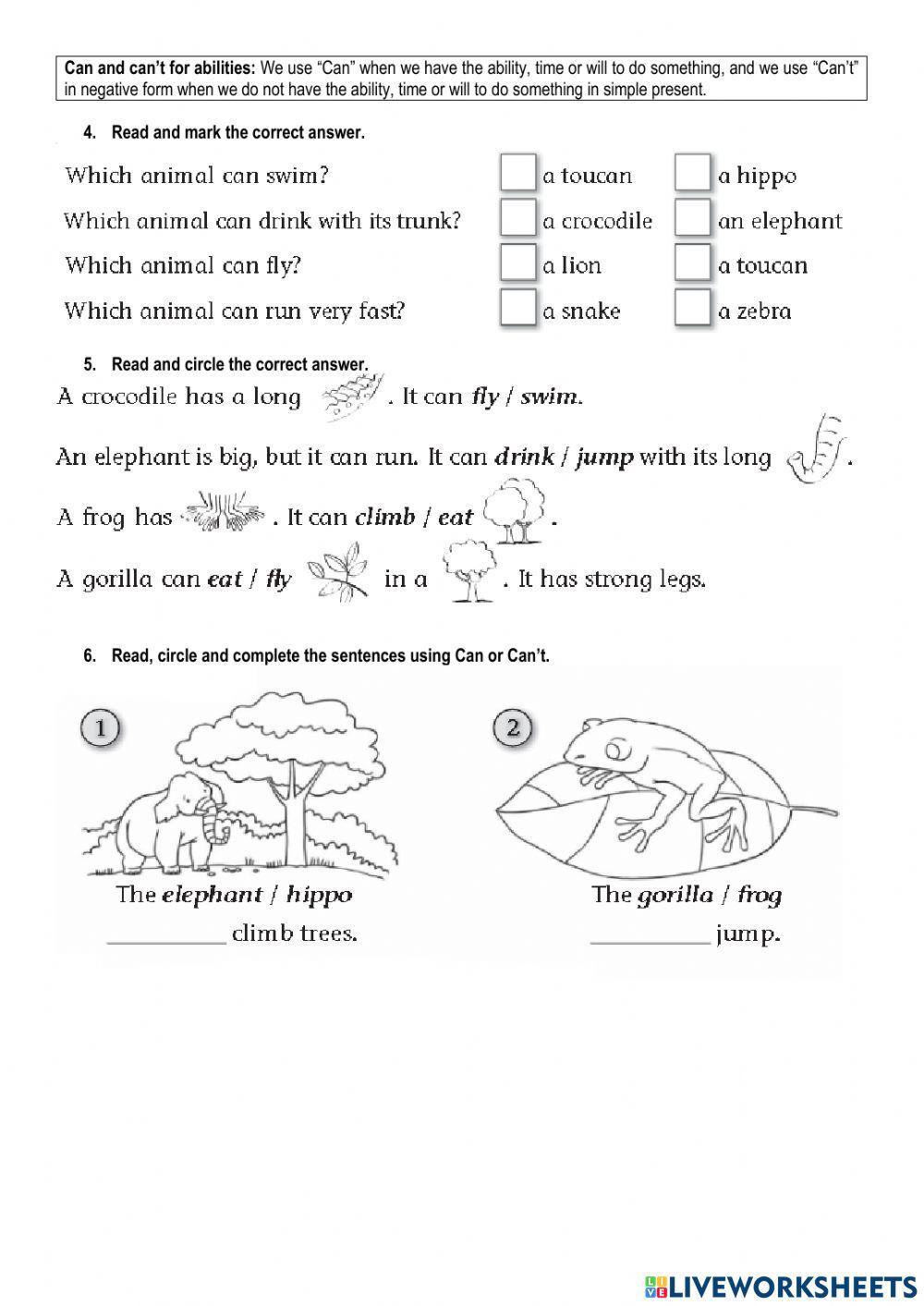 Quimestral evaluation 1