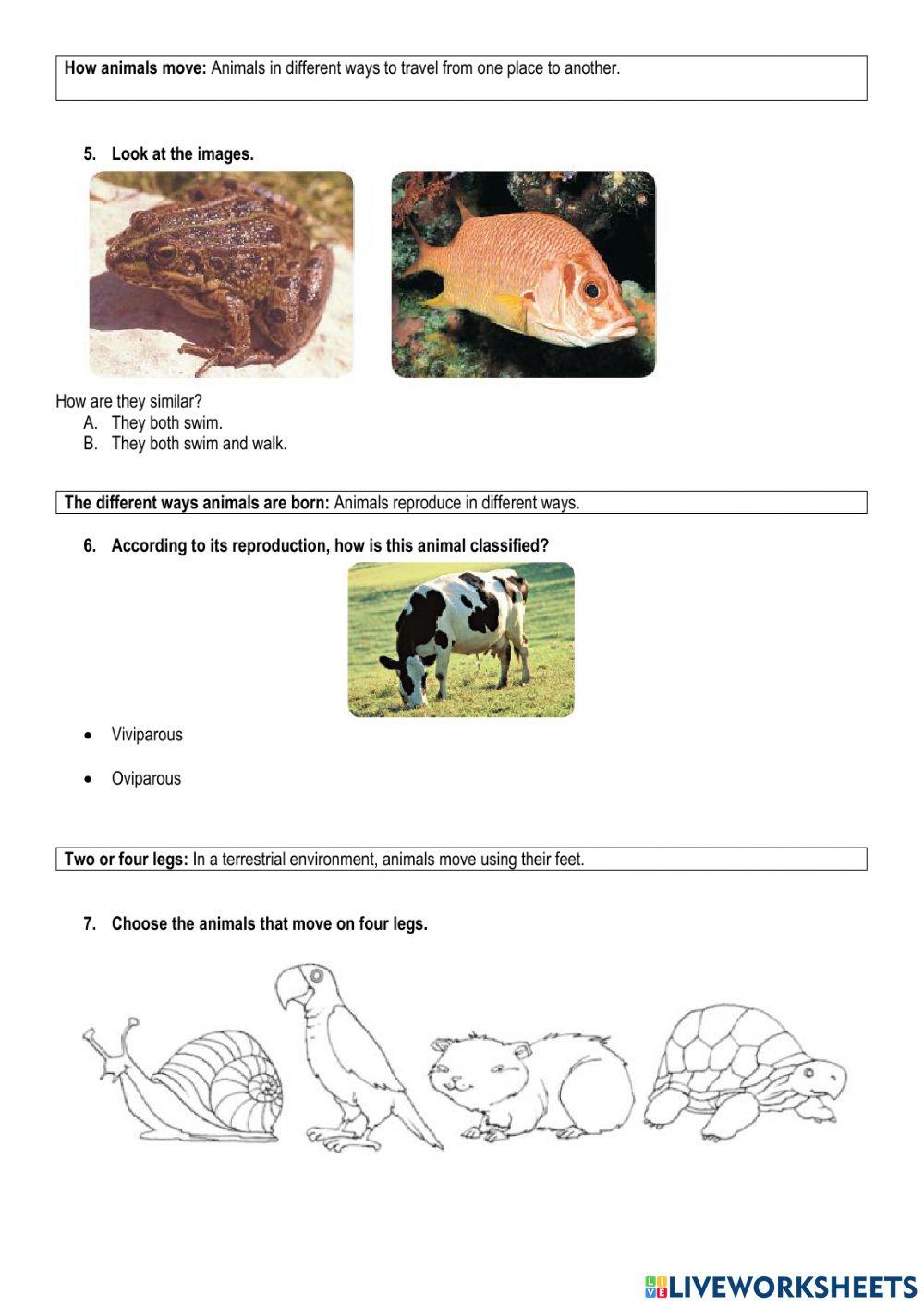 Quimestral evaluation 1