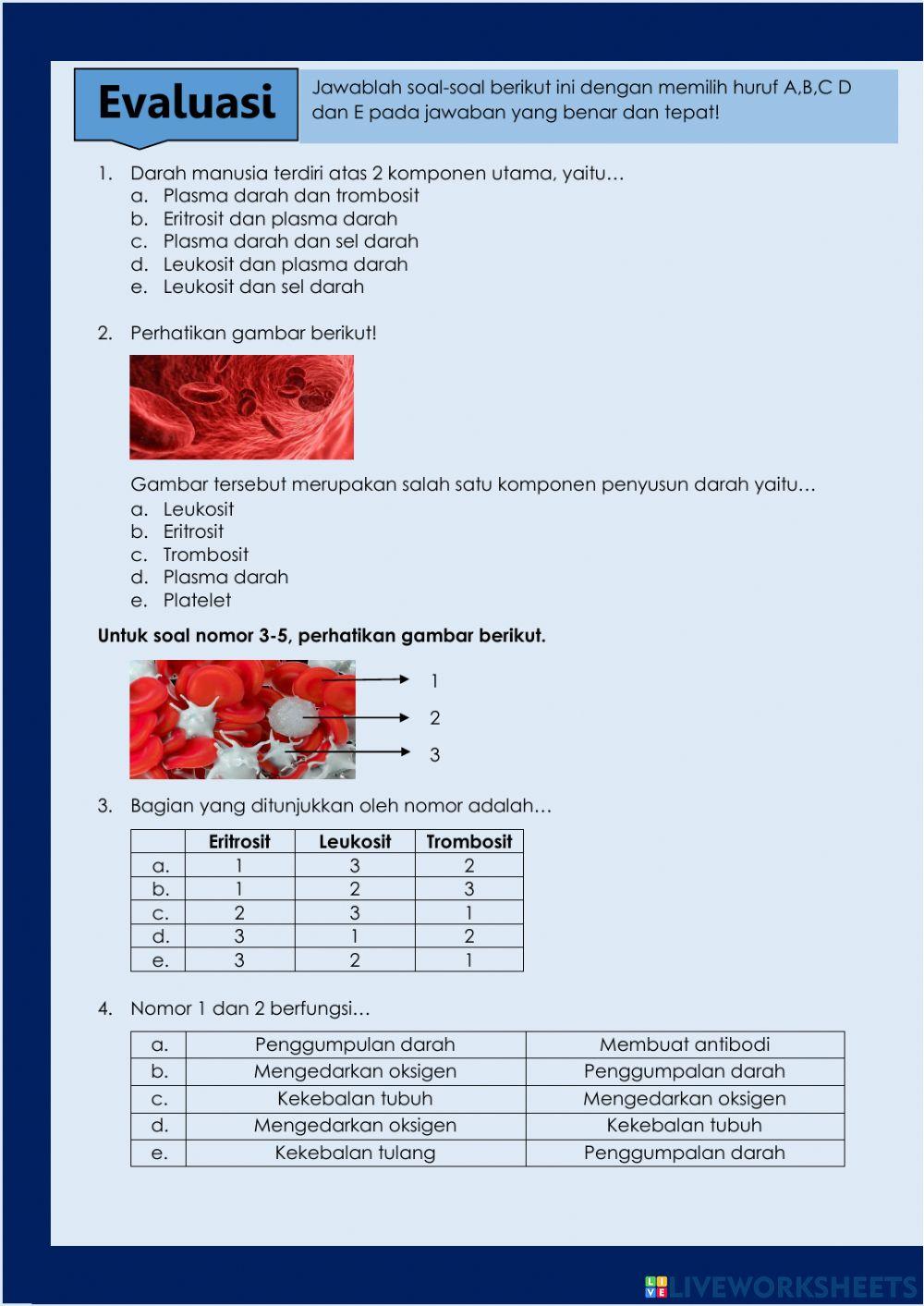LKPD 1 Komponen dan Fungsi Darah