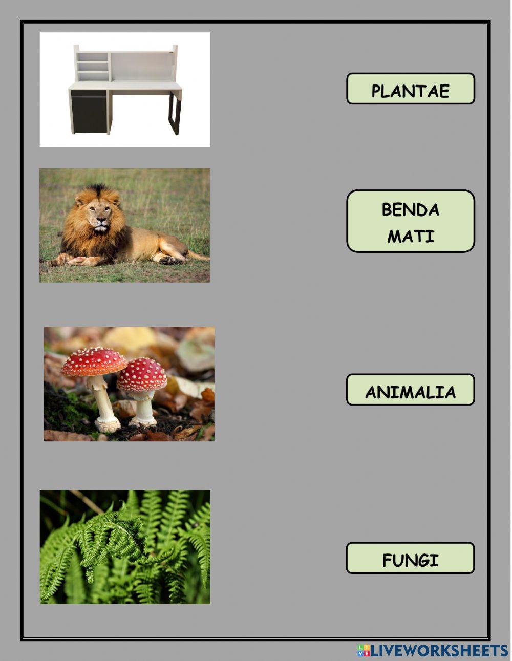 Lkpd klasifikasi benda dan makhluk hidup kelas vii