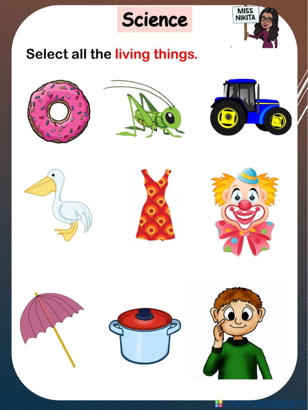 Living and non-living things