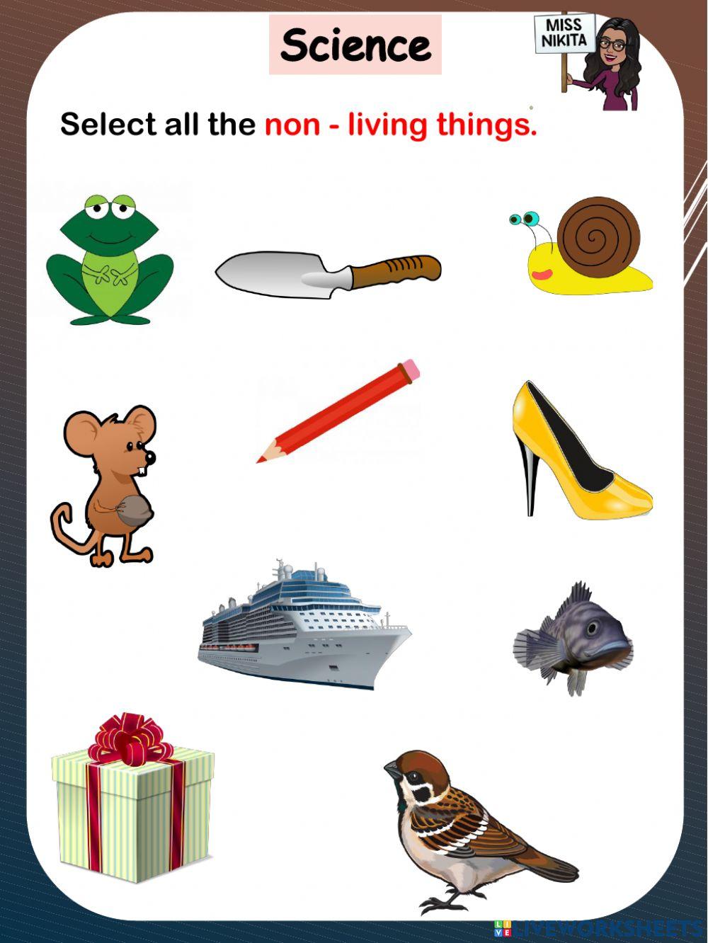 Living and non-living things