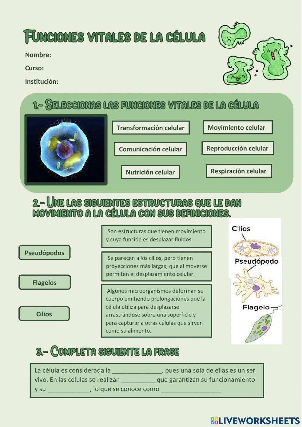 Funciones vitales de las celulas