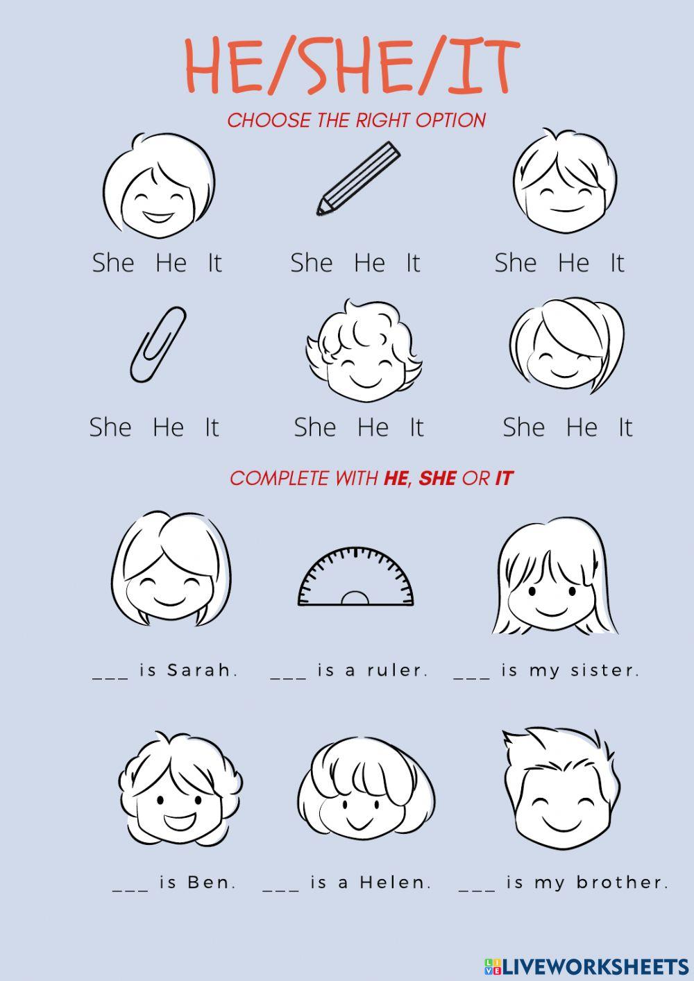 Pronouns He, She, It