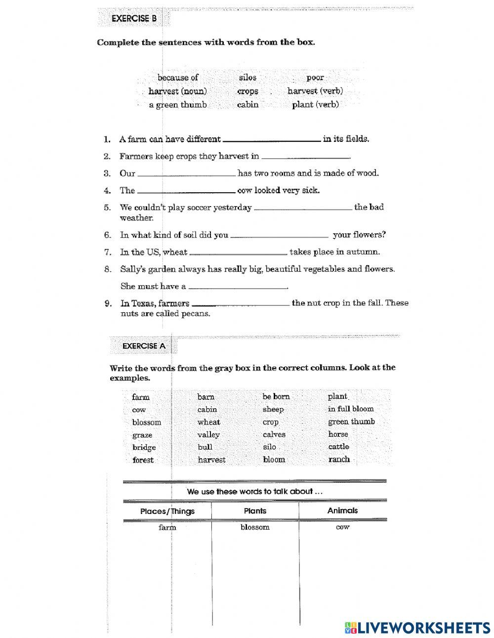 NIALC Vol. 4 Lesson 12 Vocabulary