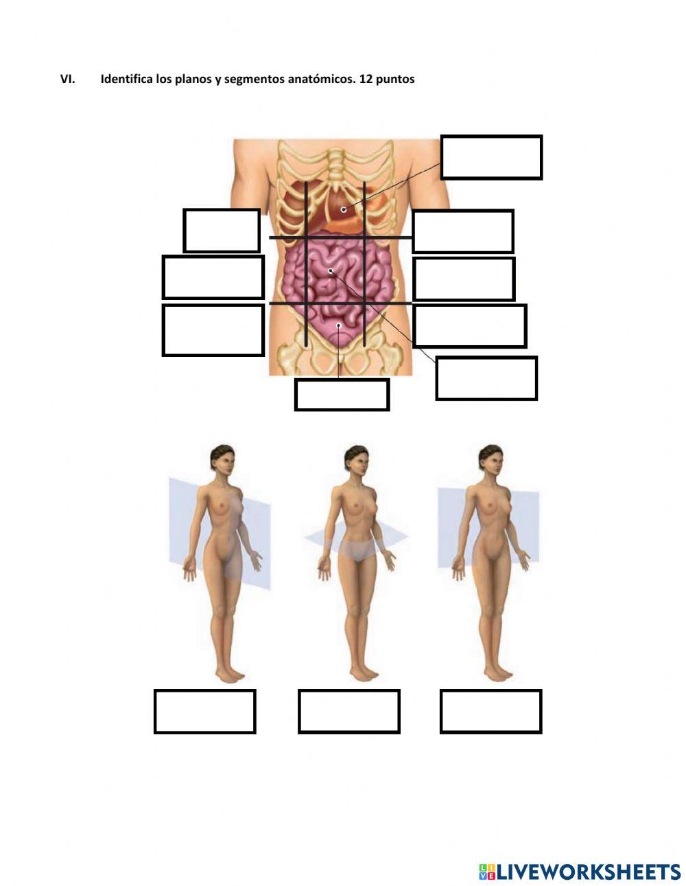 Examen final Ciencias de la Salud 5to semestre