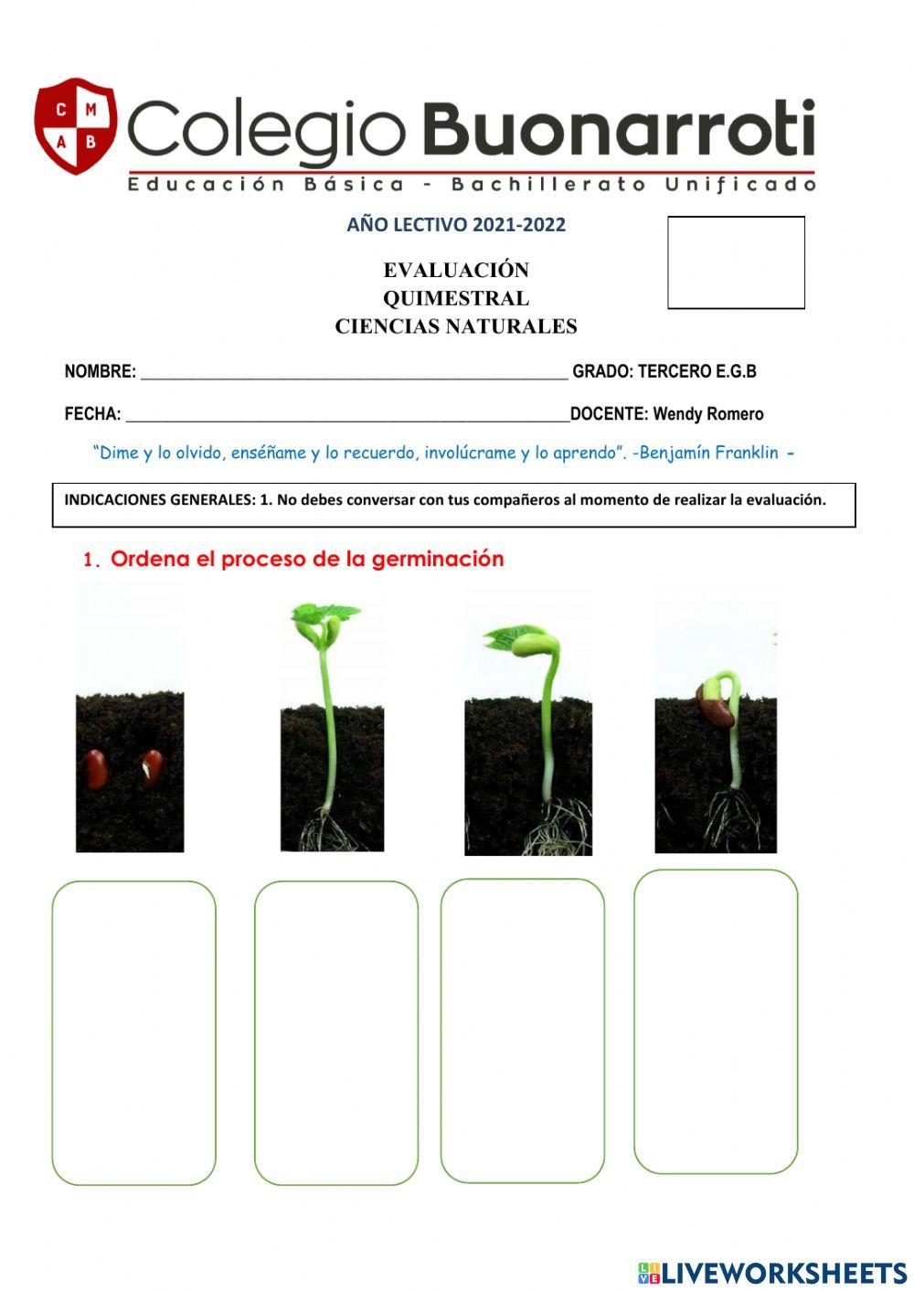 Quimestral ciencias naturales