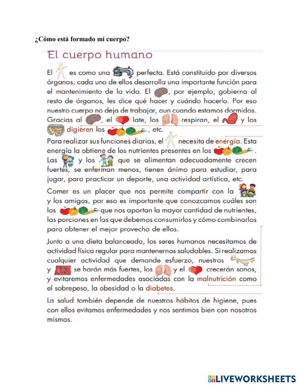 El cuerpo humano