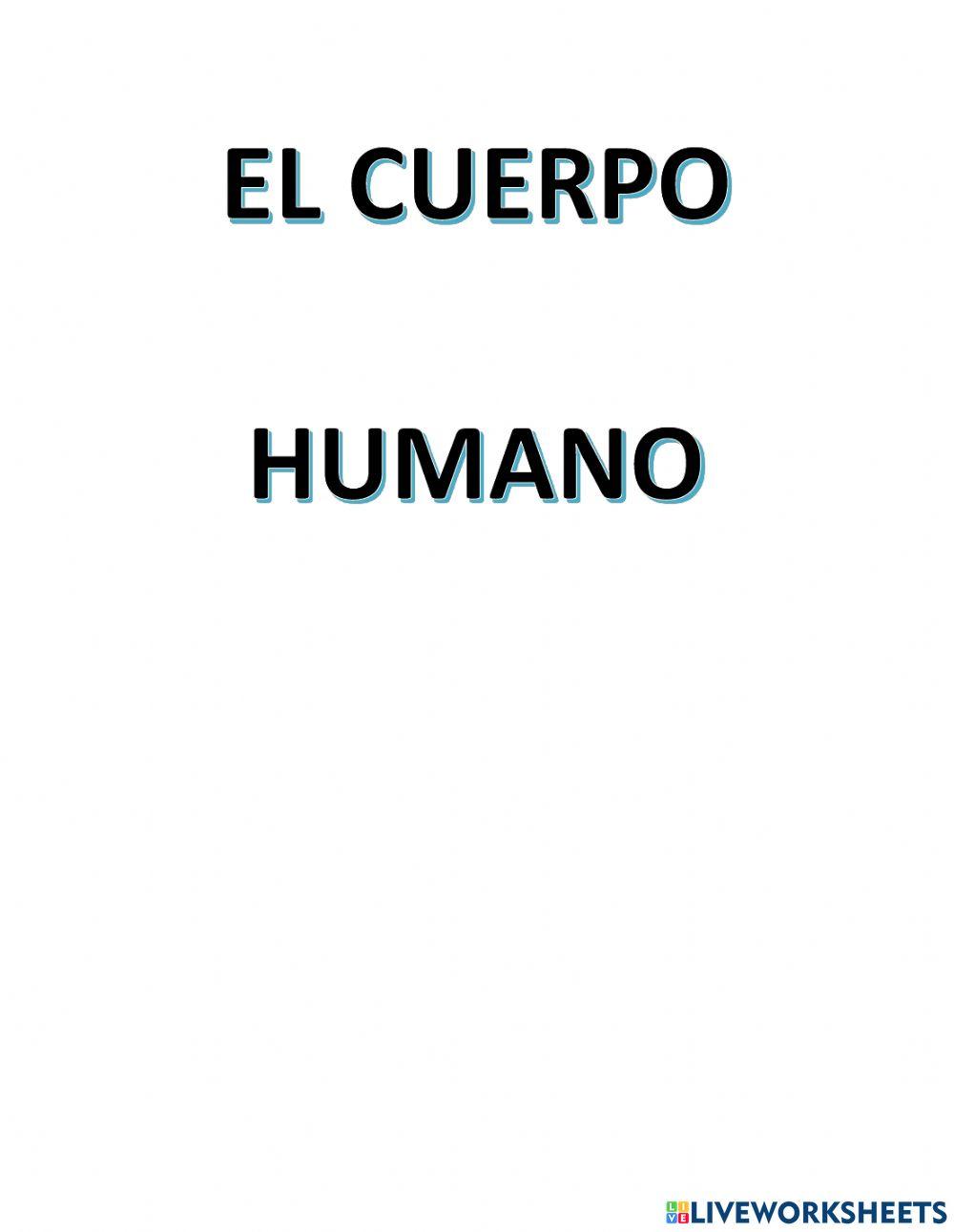 El cuerpo humano