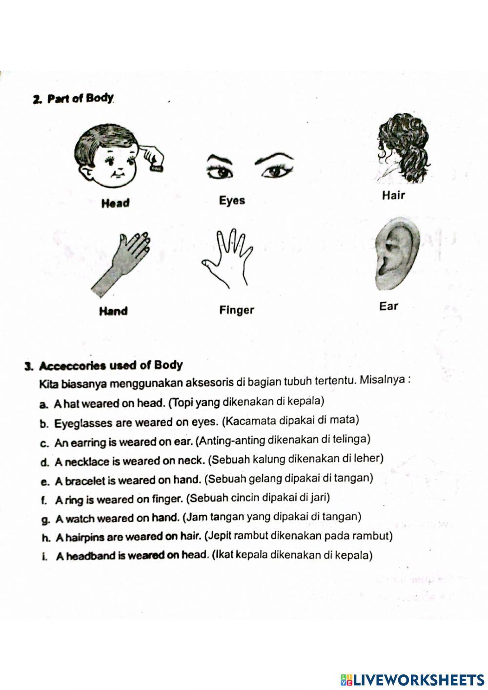 Accecories and Part of Body