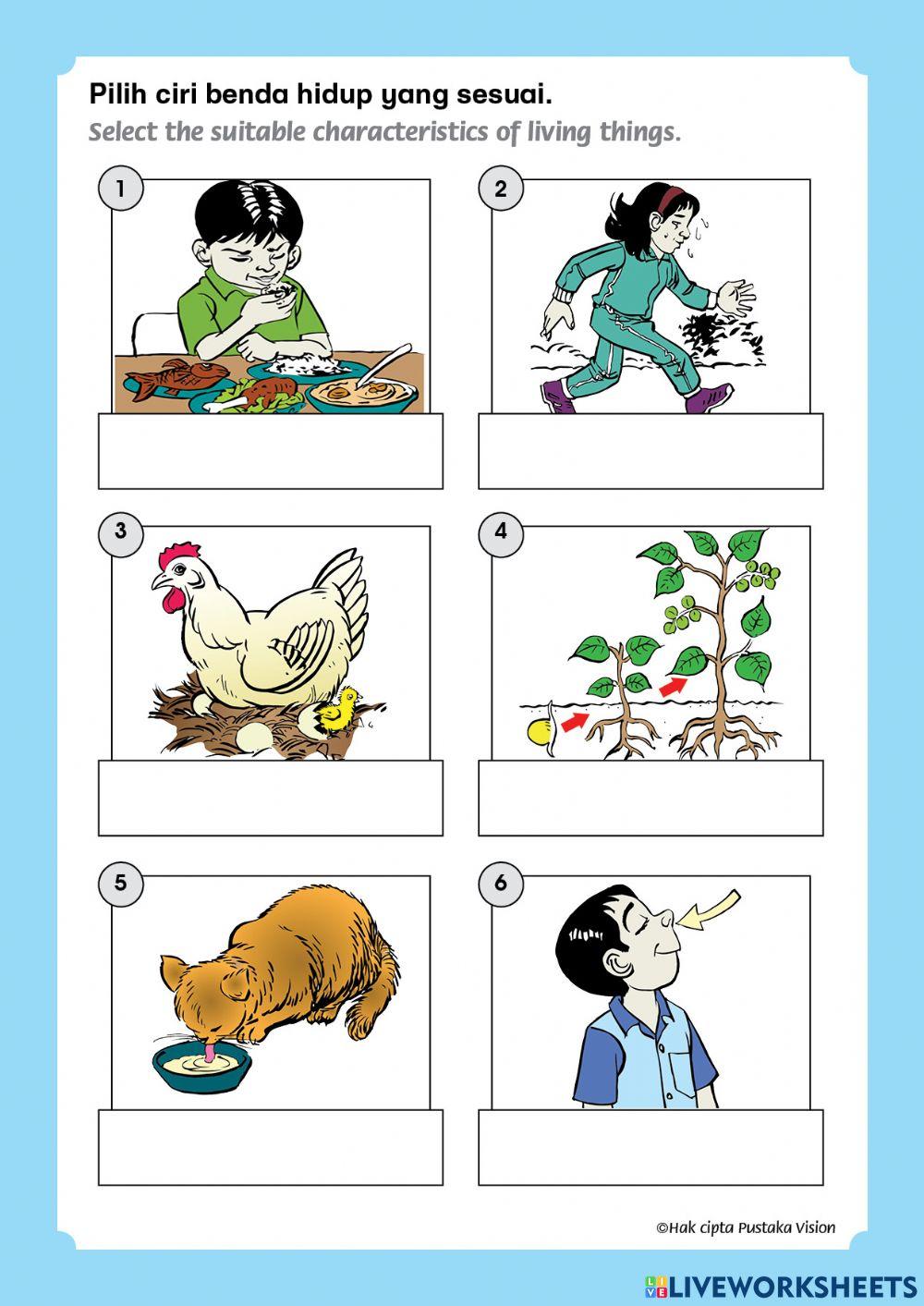 Unit 3: Benda Hidup dan Benda Bukan Hidup