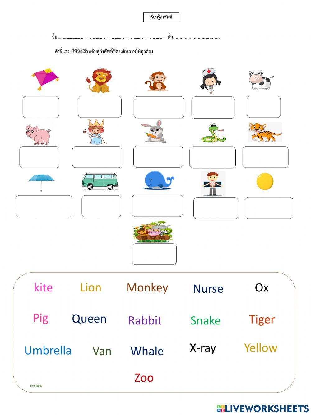 เรียนรู้คำศัพท์ภาษาอังกฤษ