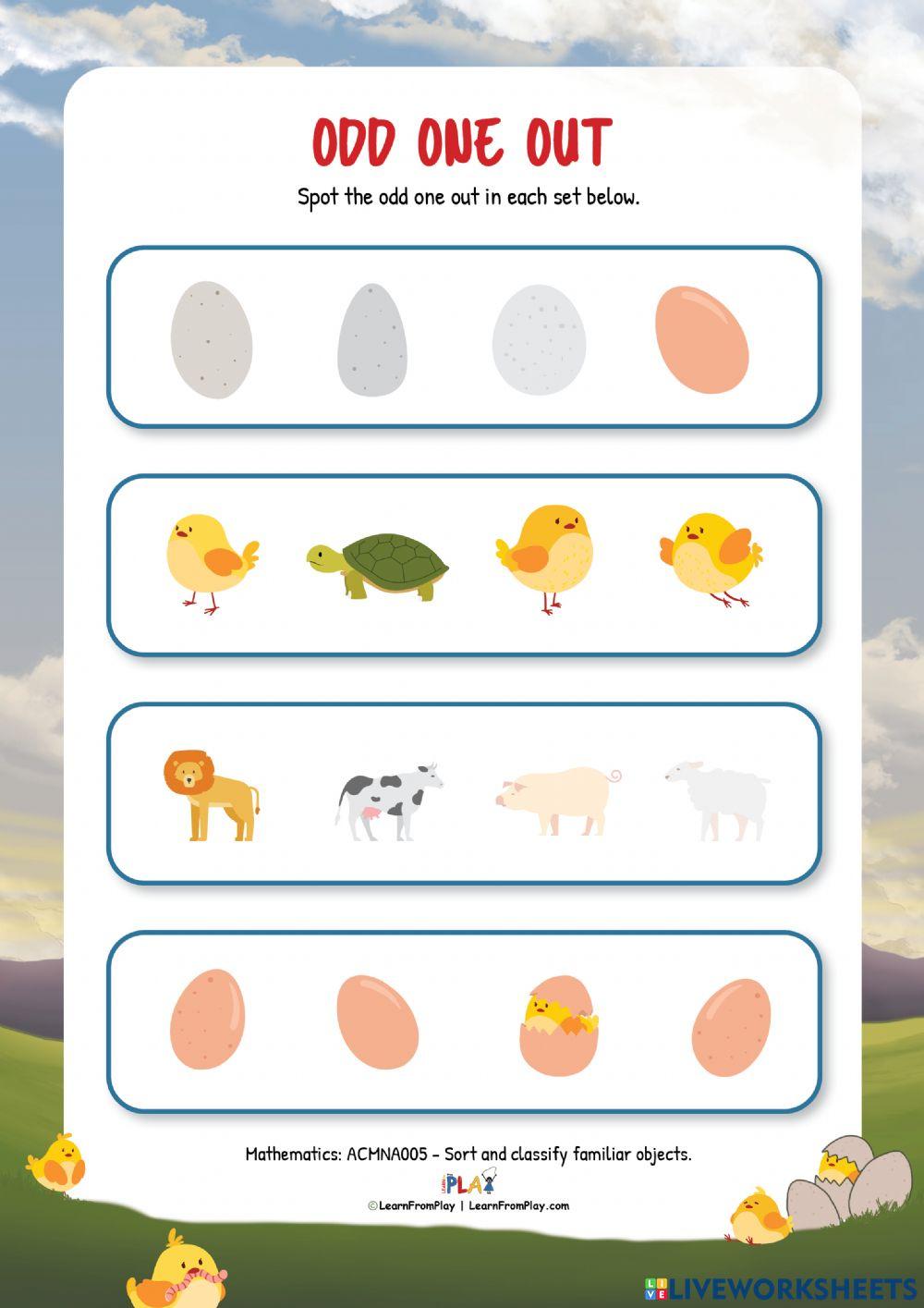 Are These Hen's Eggs - Odd One Out