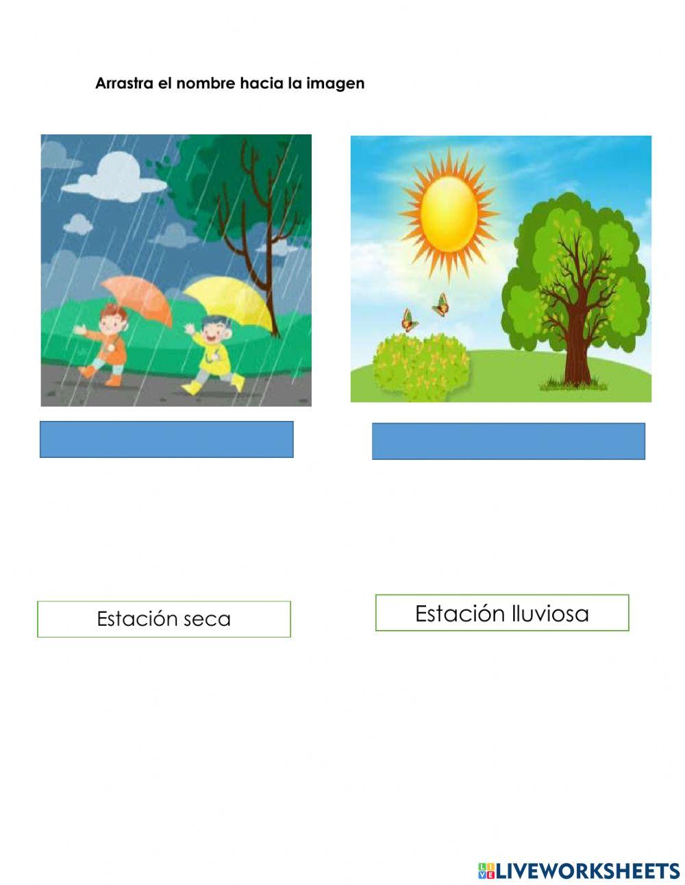 Examen de Sociales 1er grado 