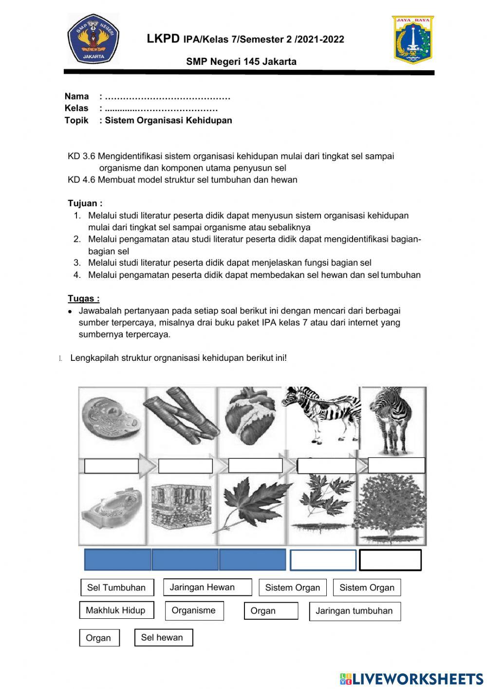 Lkpd sistem organisasi kehidupan