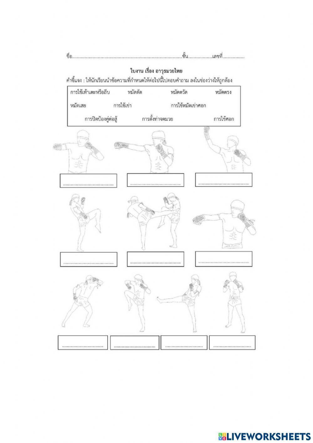 กีฬามวยไทย