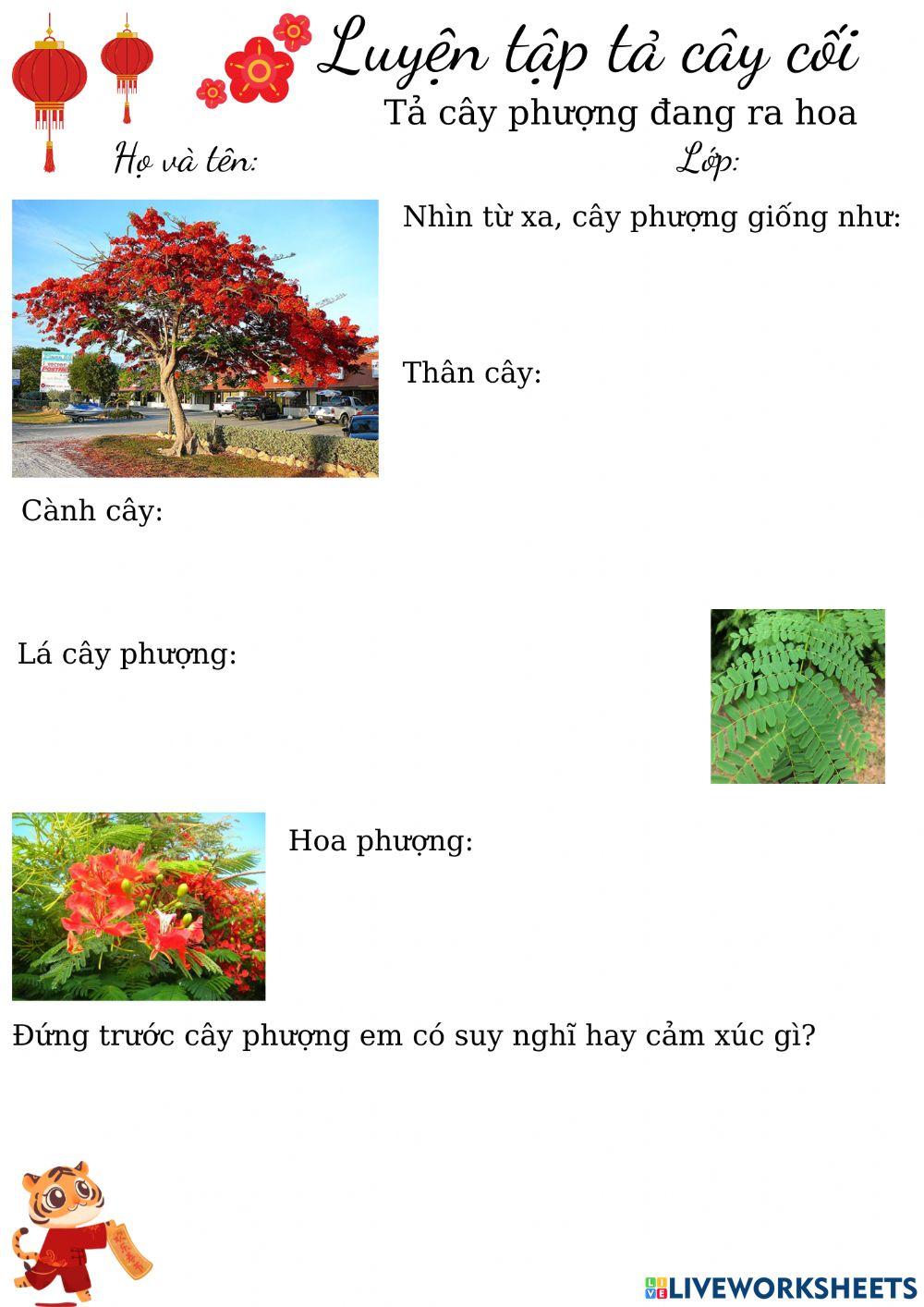 Luyện tập tả cây cối