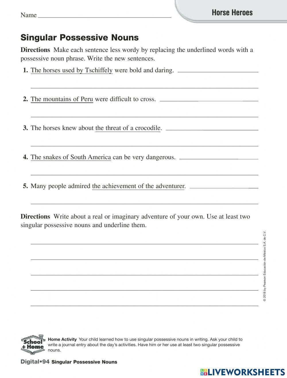 Possessive Nouns 1-4th Grade