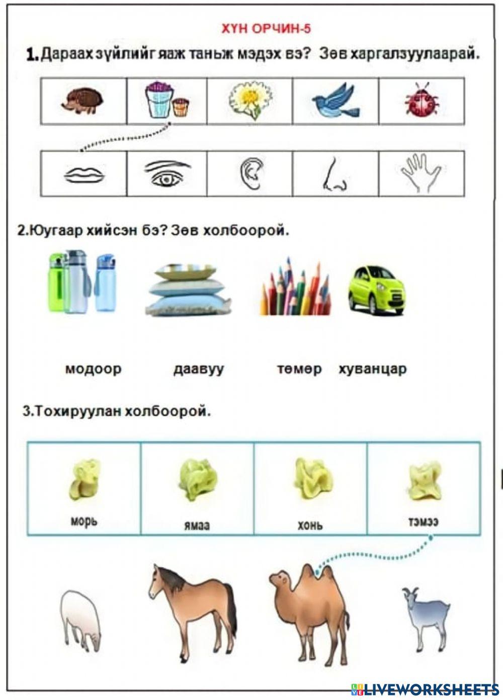 Хүн ба орчин interactive worksheet | Live Worksheets