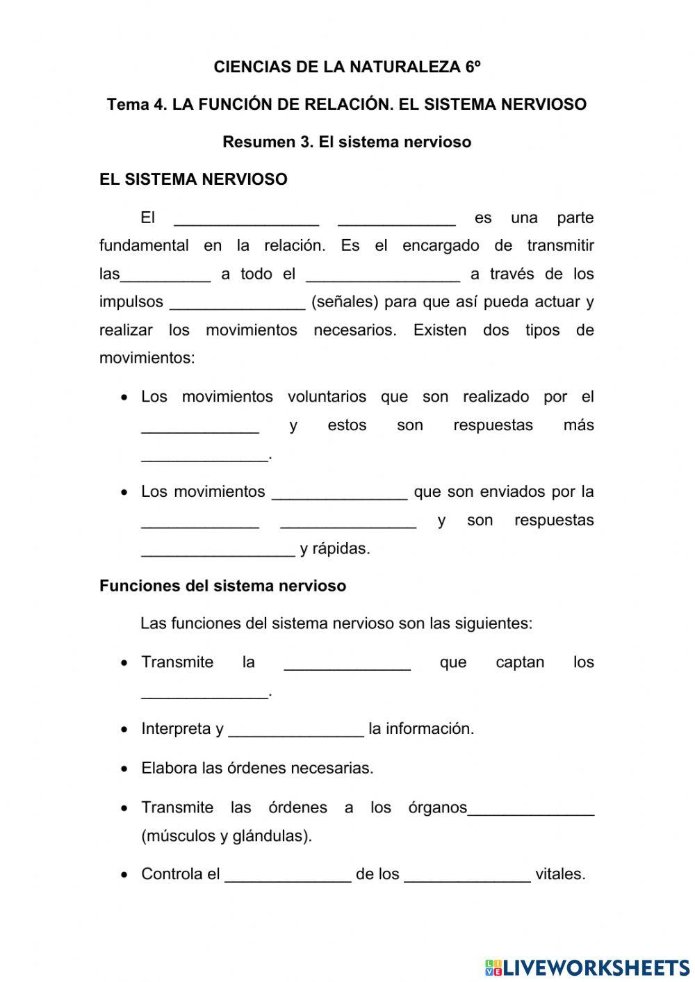 La función de relación. el sistema nervioso