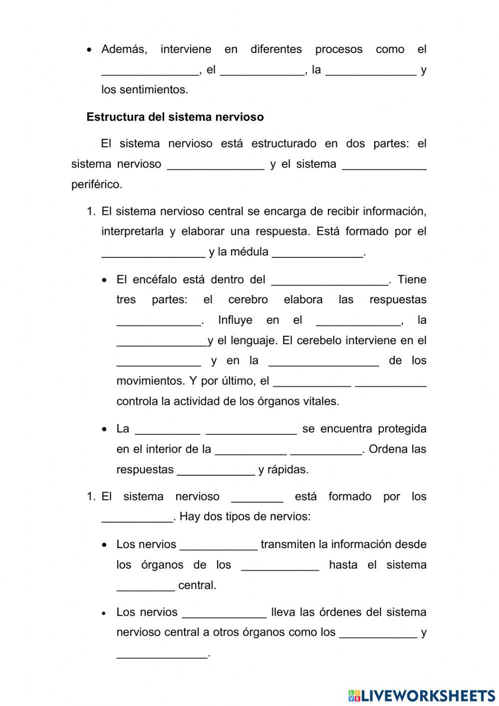 La función de relación. el sistema nervioso