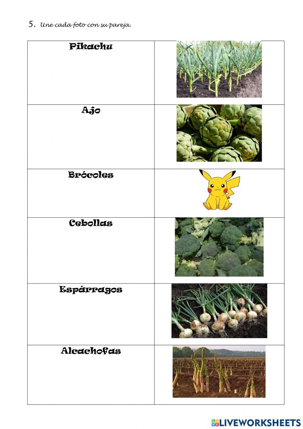 Paseo por mi huerto del Coloma