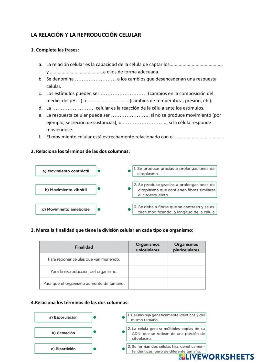Relación y reproducción celular