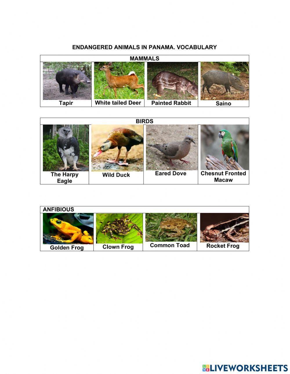 Endangered animals in Panama