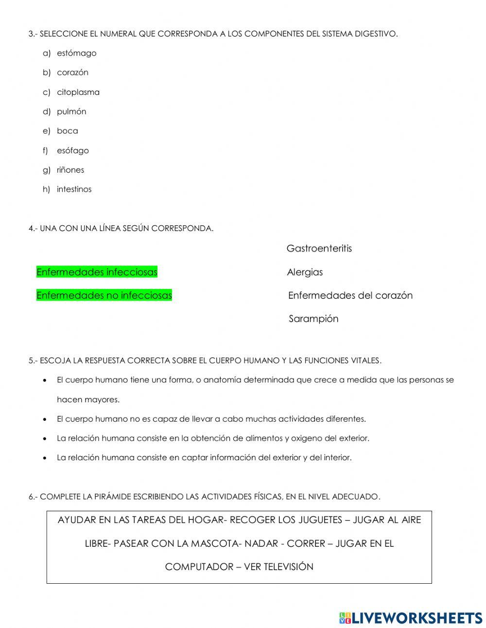 Ciencias naturales - examen - primer quimestre