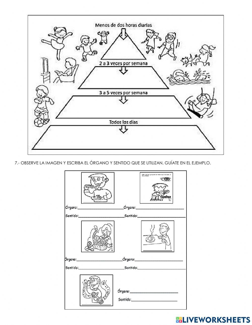 Ciencias naturales - examen - primer quimestre