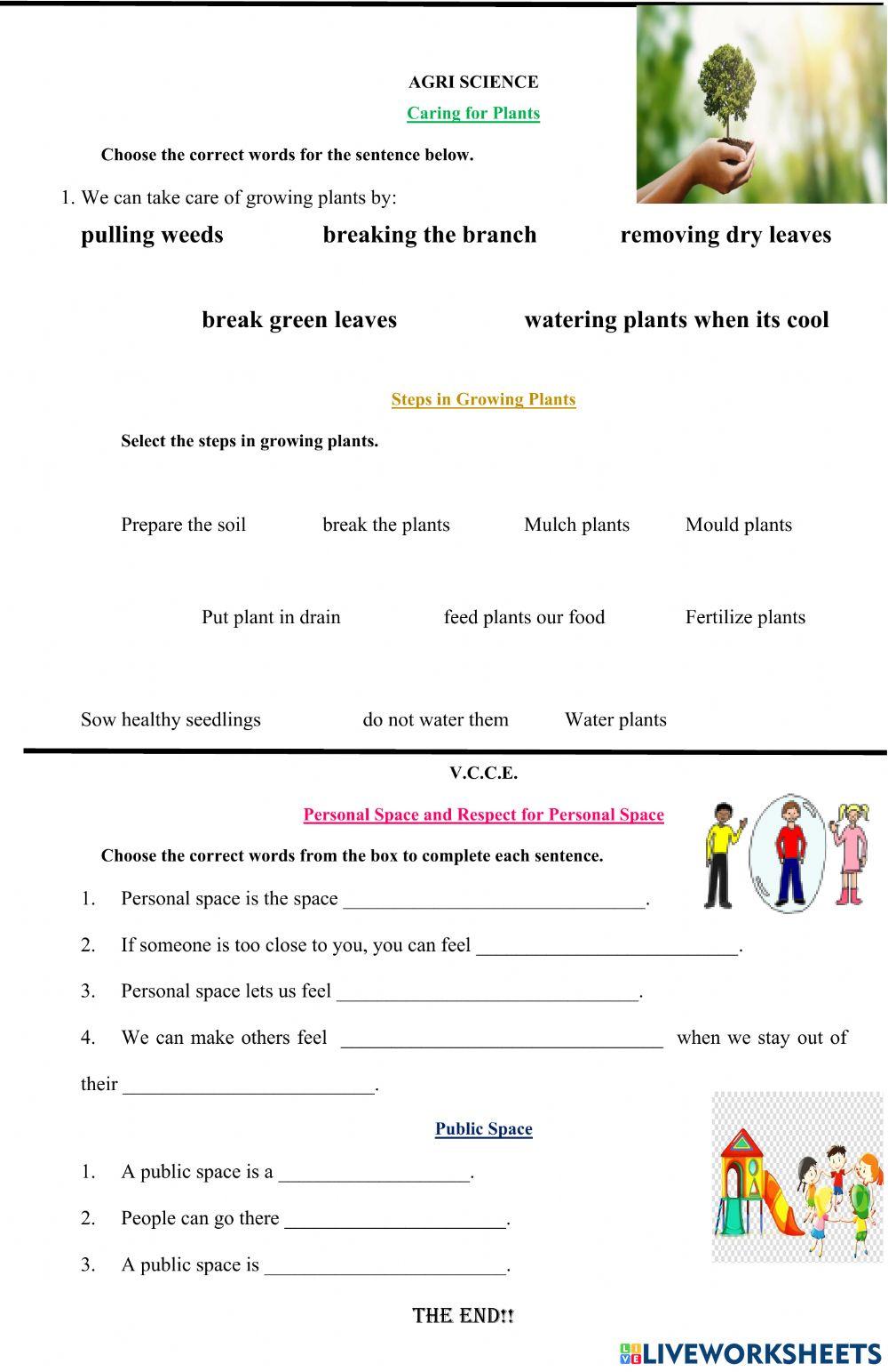 Weekly test week3 term2