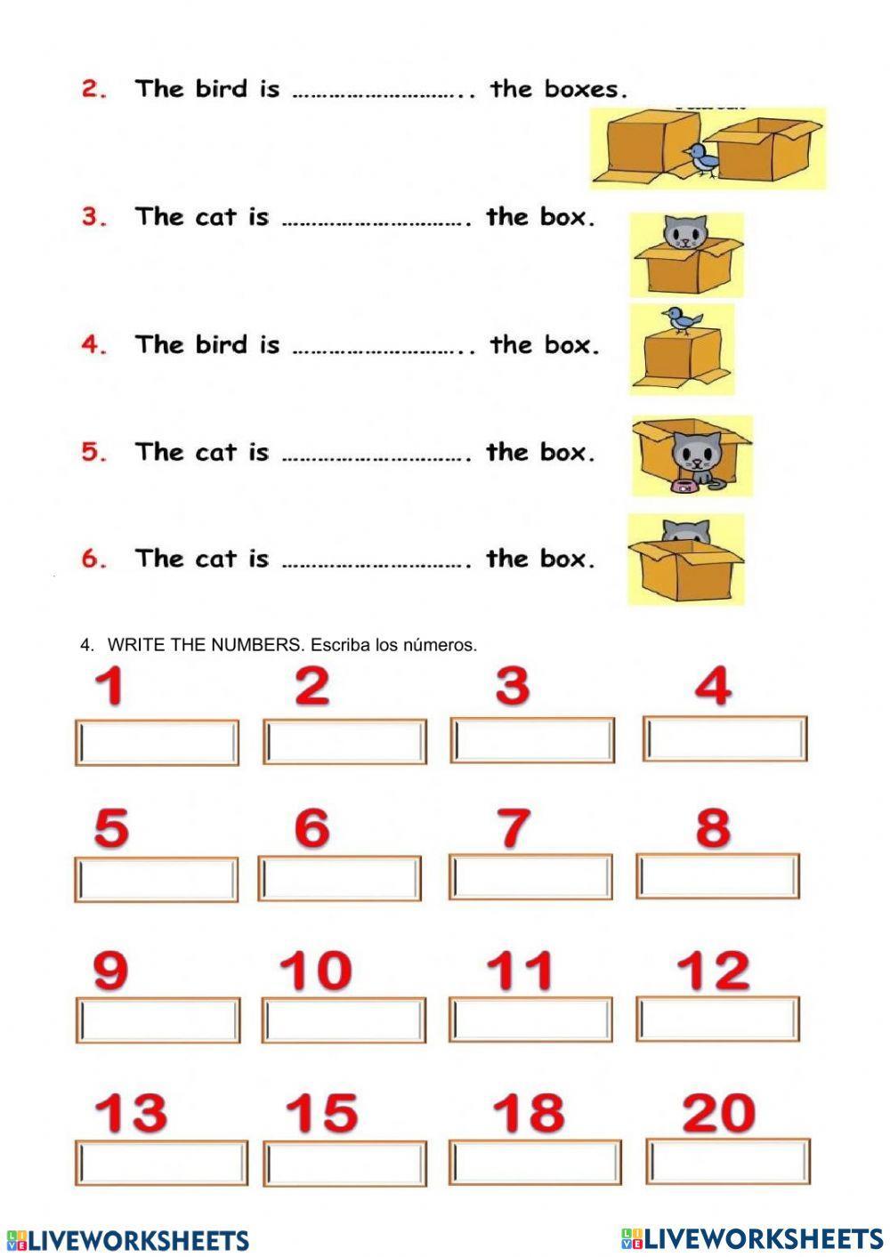 EVALUACIÓN QUIMESTRAL DE INGLÉS 4T0
