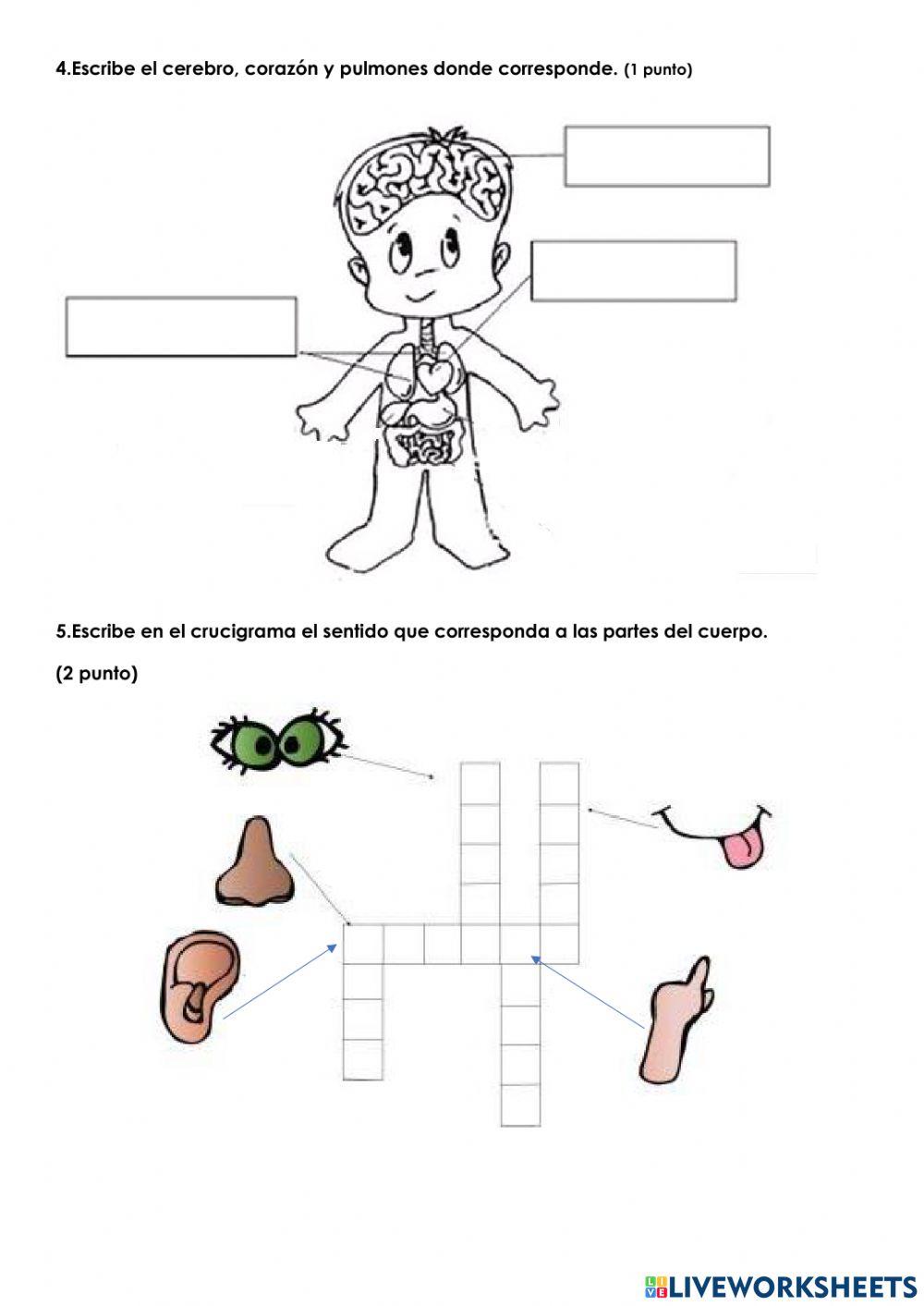 Evaluacion de ciencias naturales