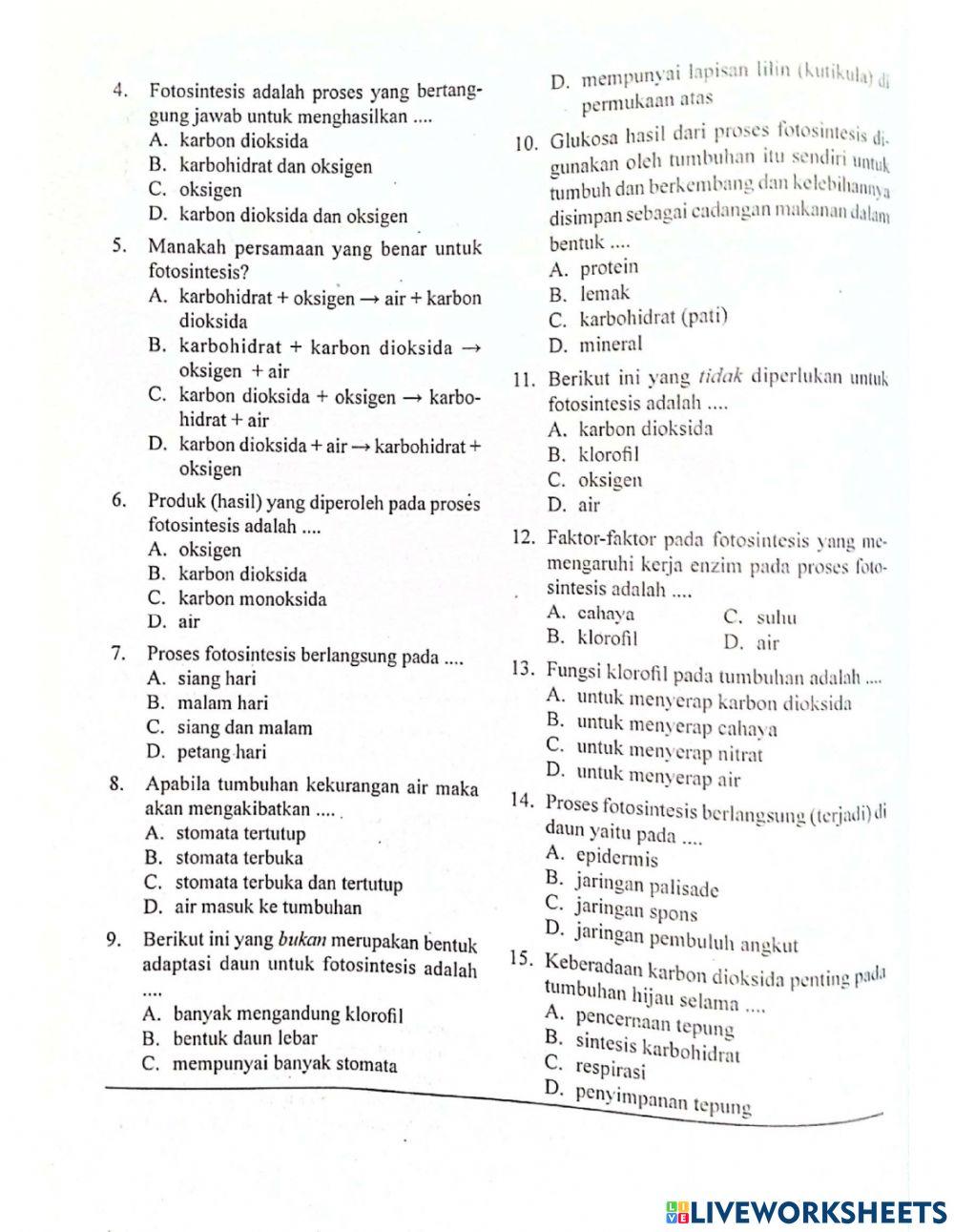 Biologi bab 15 Fotosintesis