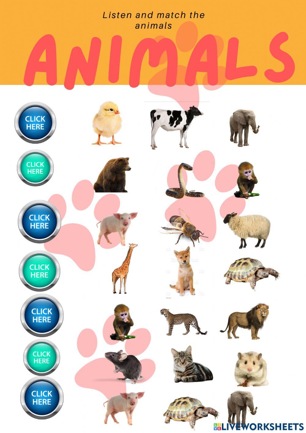 Listen the name of the animals