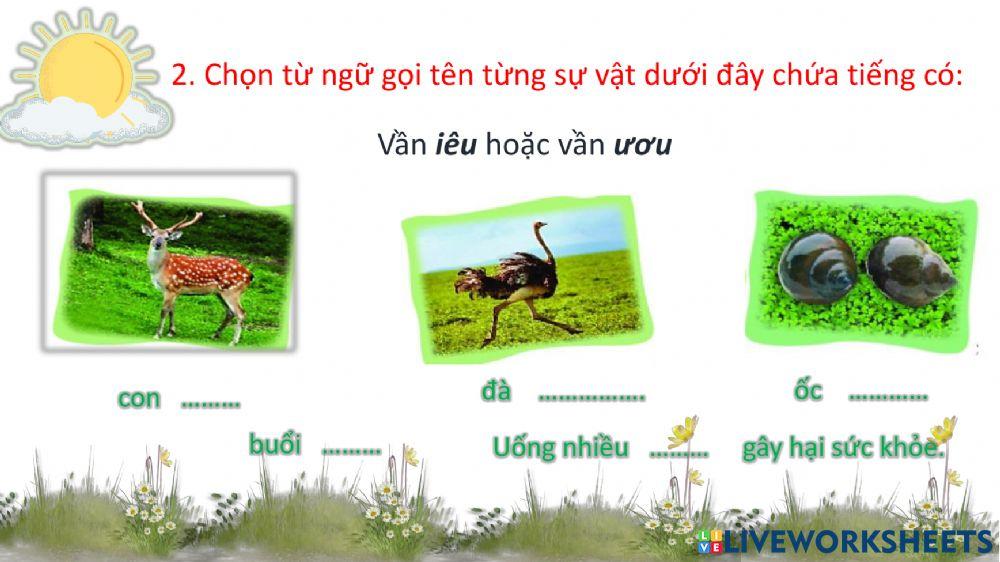 BTTV2 - Tuần 19 - PB eo oe iêu ươu