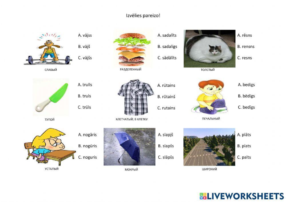 Īpašības vārdu pareizrakstība 1. daļa