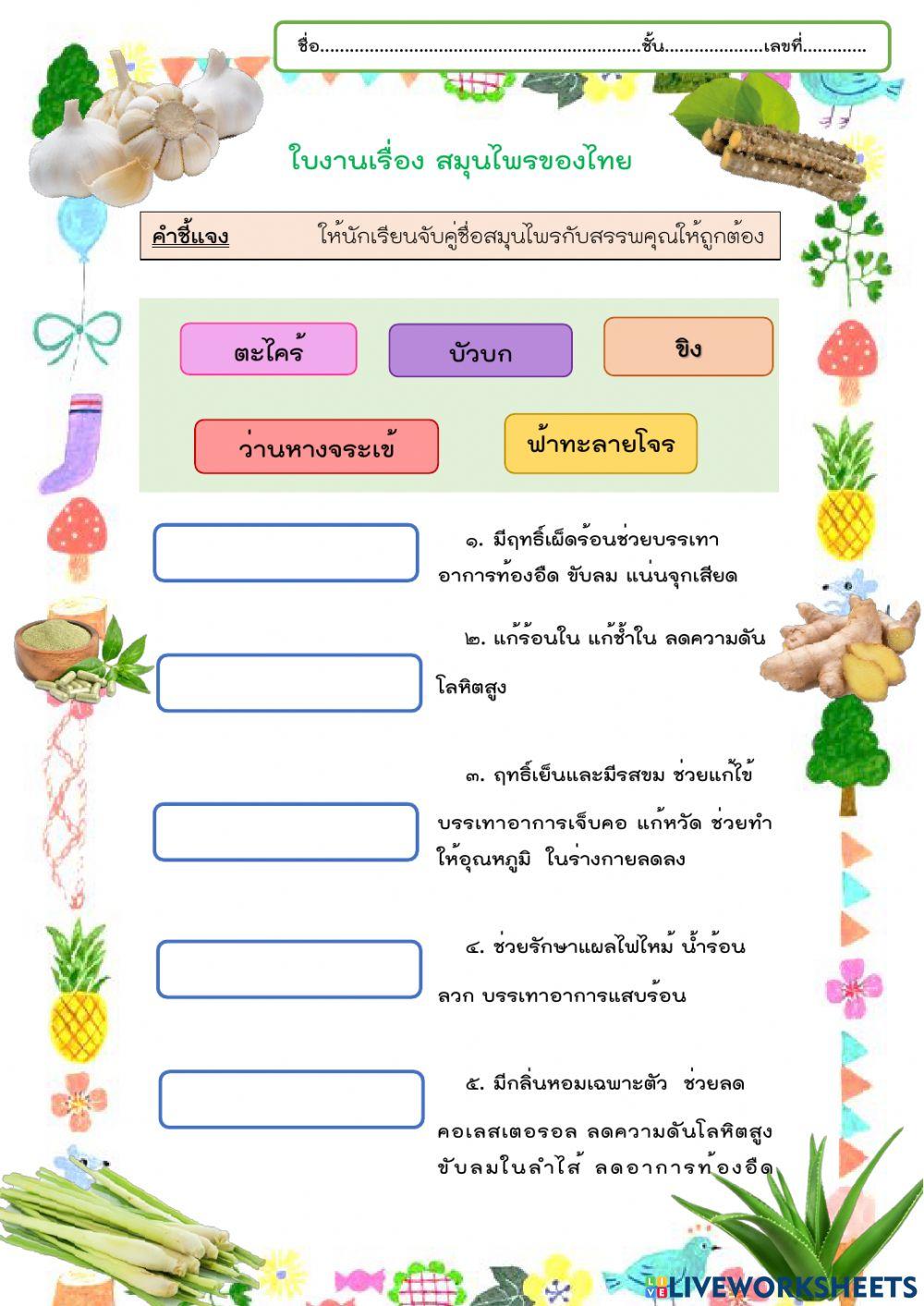 ใบงานชมรมเรื่อง สมุนไพรของไทย