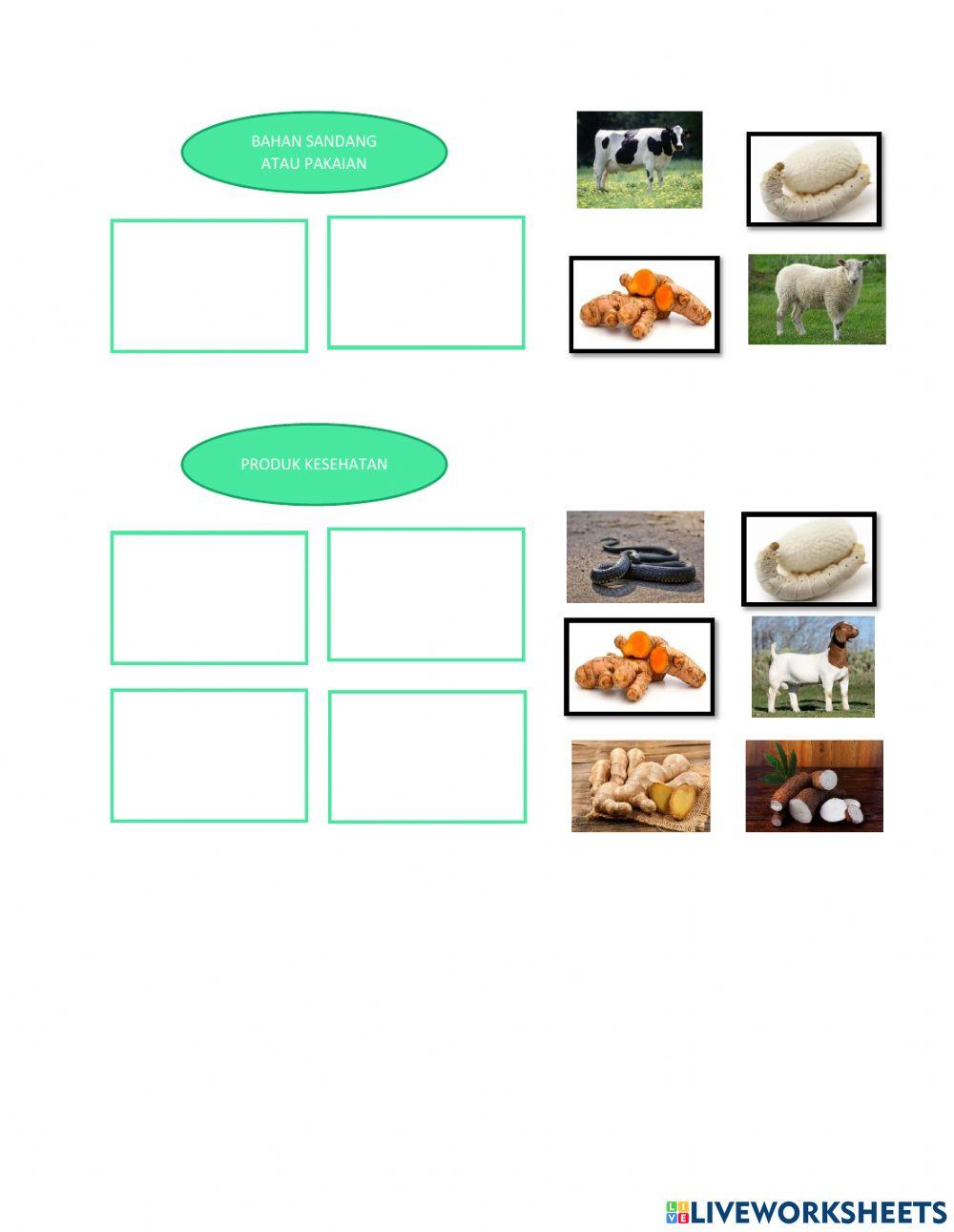 Soal evaluasi t6 st2 pb 2