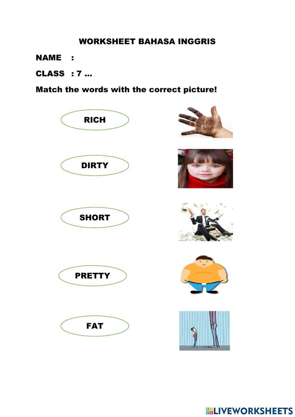 Adjectives VS Pictures