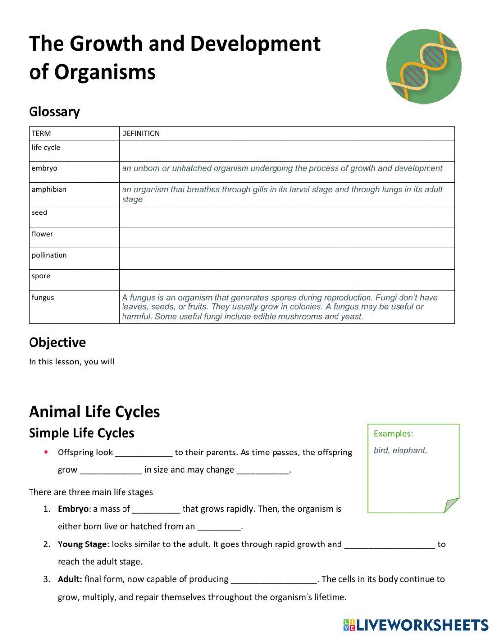 Growth and Development of Organisms: Guided Notes