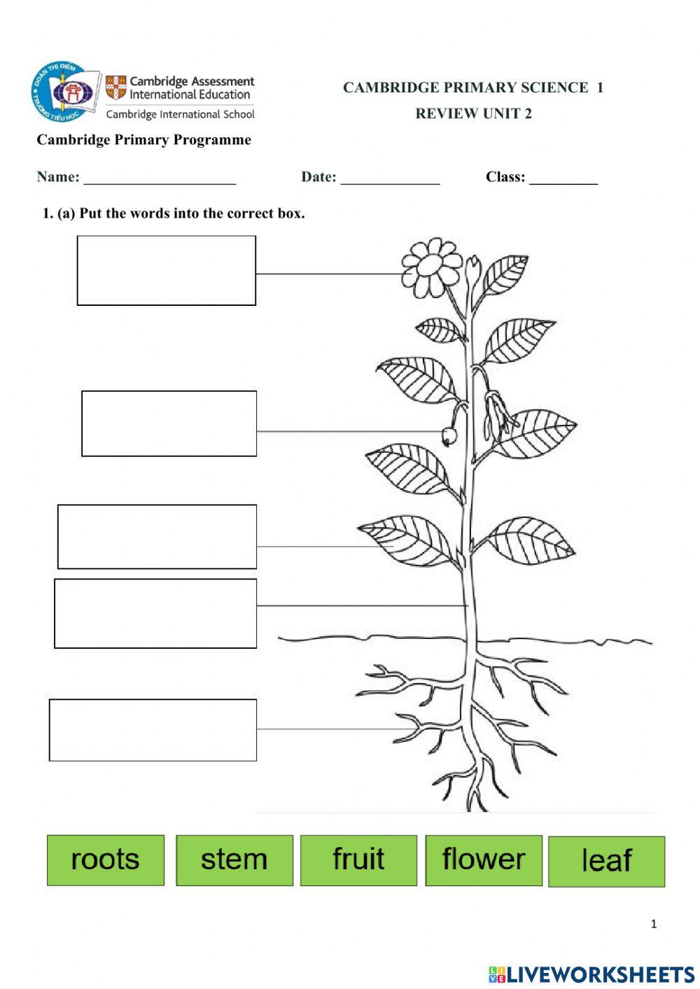 CPS1-2.4-Worksheet 2