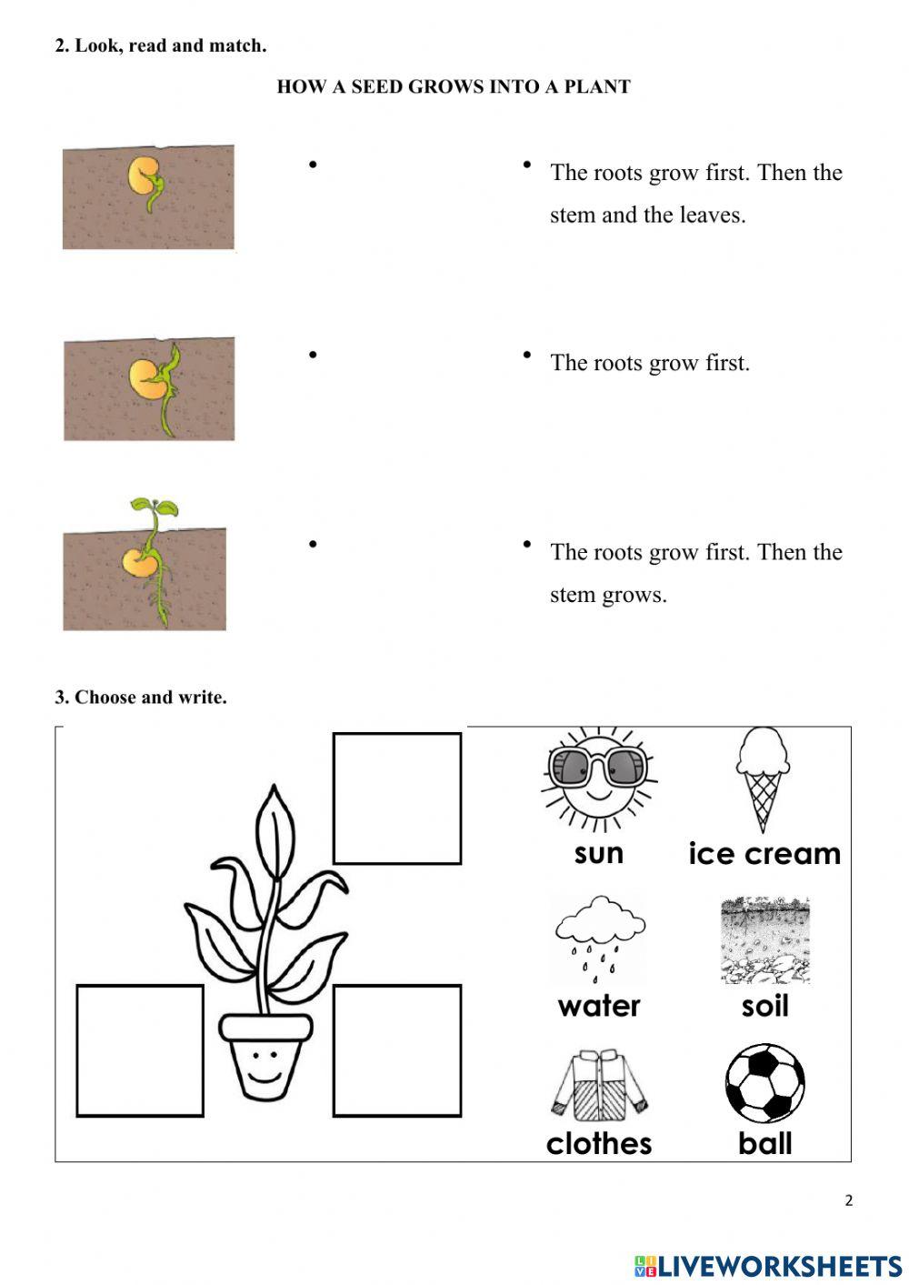 CPS1-2.4-Worksheet 2