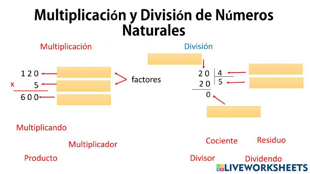 Multiplicación y División