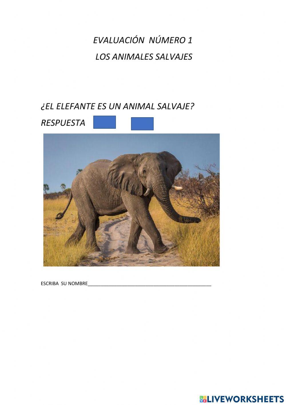 Los  animales salvajes